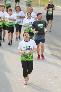 BIB: 
                            <button type="button" onclick="openModal(3540598)" class="btn btn-primary btn-sm float-right btn-popup" data-toggle="modal" data-target=".modal-high-quality">
                        <i class="fas fa-shopping-cart"></i> Add to Cart
                    </button>
                                            <button type="button" onclick="isThisMe(3540598, true)" class="btn btn-success btn-sm float-right btn-popup btn-isme hidden" data-toggle="tooltip" data-placement="bottom" title="นี่คือรูปของคุณใช่ไหม คลิกที่นี่เพื่อเอาเข้าอัลบั้ม">
                        <i class="fas fa-plus"></i> Add to album
                    </button>
                    <button type="button" onclick="isThisMe(3540598, false)" class="btn btn-warning btn-sm float-right btn-popup btn-isnotme hidden">
                        <i class="fas fa-ban"></i> Remove from album
                    </button>